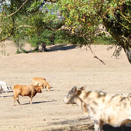 Ancienne Longere Renovee Avec Piscine Privative Et Animaux Admis - Fr-1-489-201 펜션